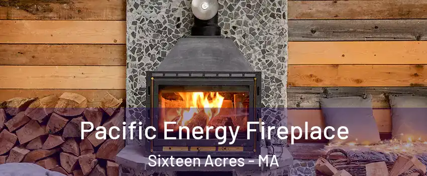 Pacific Energy Fireplace Sixteen Acres - MA