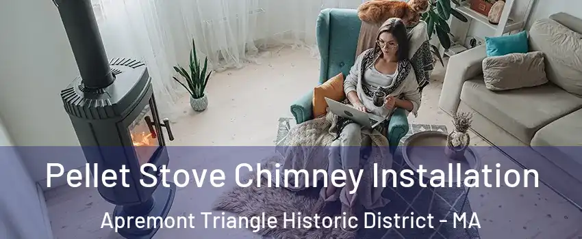 Pellet Stove Chimney Installation Apremont Triangle Historic District - MA