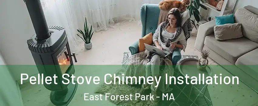 Pellet Stove Chimney Installation East Forest Park - MA