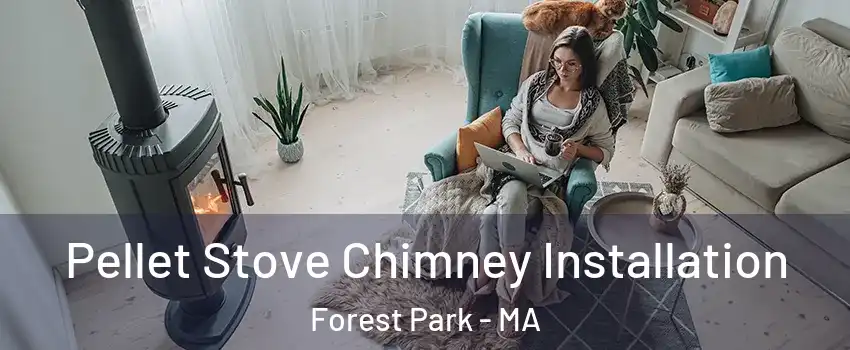 Pellet Stove Chimney Installation Forest Park - MA
