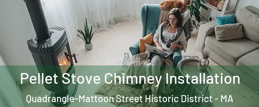 Pellet Stove Chimney Installation Quadrangle-Mattoon Street Historic District - MA
