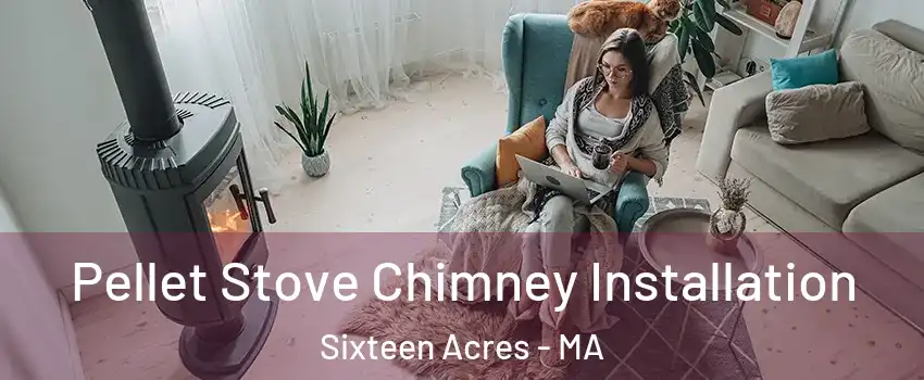 Pellet Stove Chimney Installation Sixteen Acres - MA