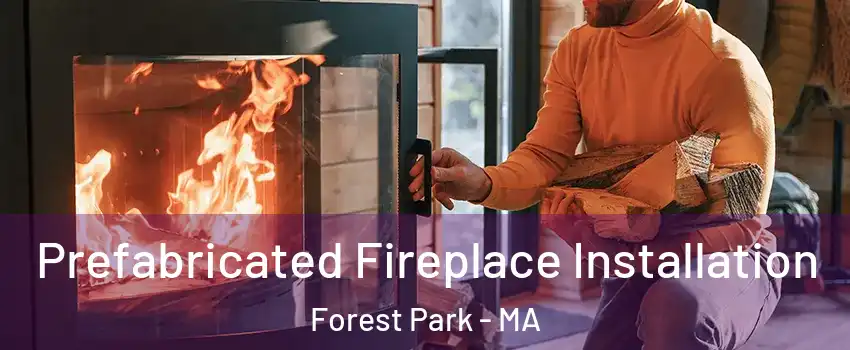 Prefabricated Fireplace Installation Forest Park - MA