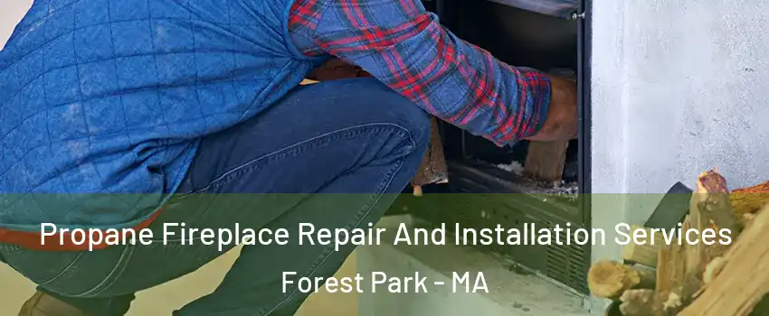Propane Fireplace Repair And Installation Services Forest Park - MA
