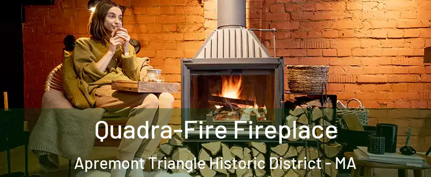 Quadra-Fire Fireplace Apremont Triangle Historic District - MA