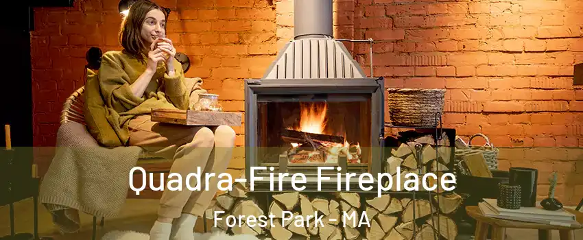 Quadra-Fire Fireplace Forest Park - MA