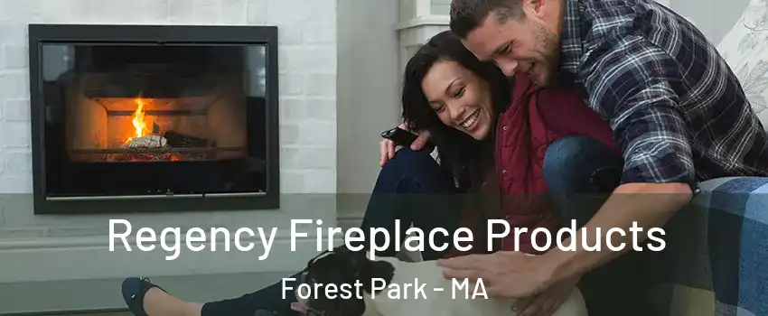 Regency Fireplace Products Forest Park - MA