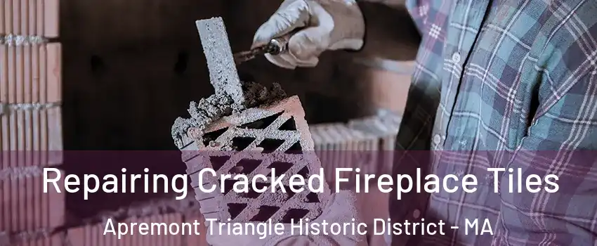 Repairing Cracked Fireplace Tiles Apremont Triangle Historic District - MA