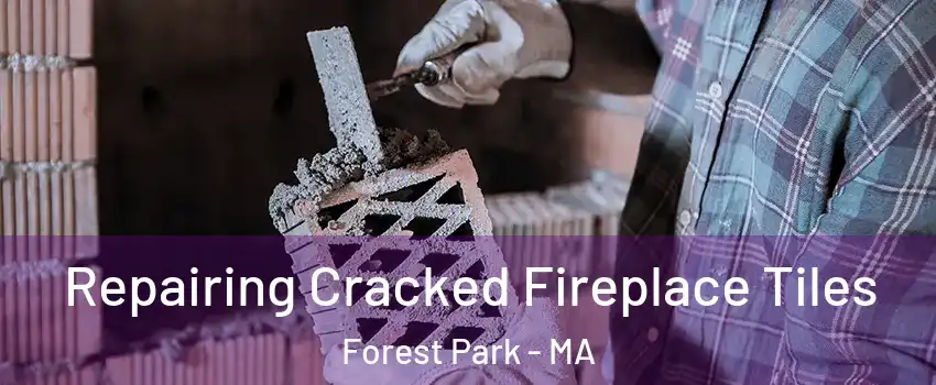 Repairing Cracked Fireplace Tiles Forest Park - MA