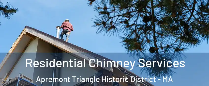 Residential Chimney Services Apremont Triangle Historic District - MA