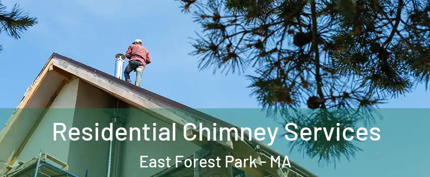 Residential Chimney Services East Forest Park - MA