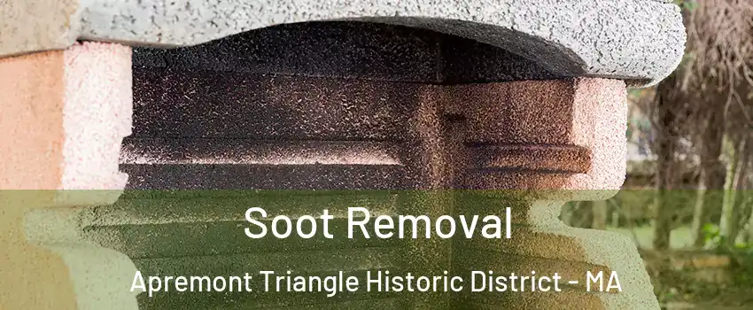 Soot Removal Apremont Triangle Historic District - MA