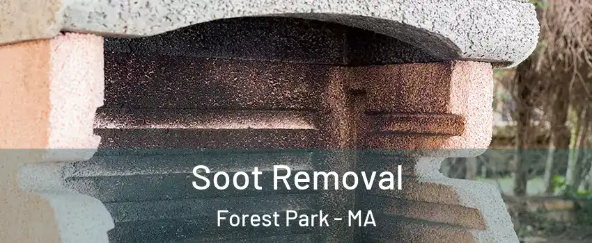 Soot Removal Forest Park - MA
