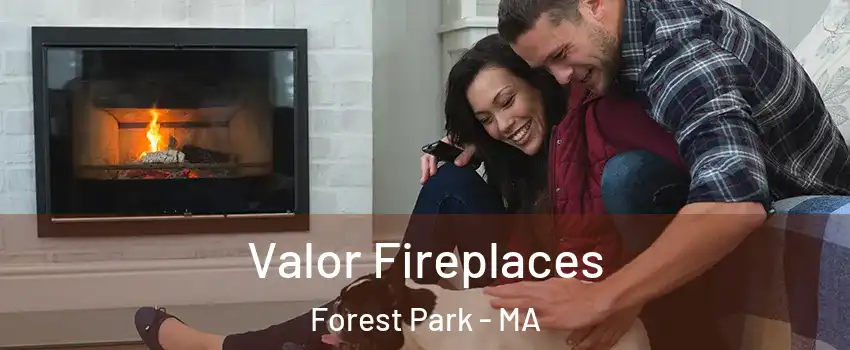 Valor Fireplaces Forest Park - MA