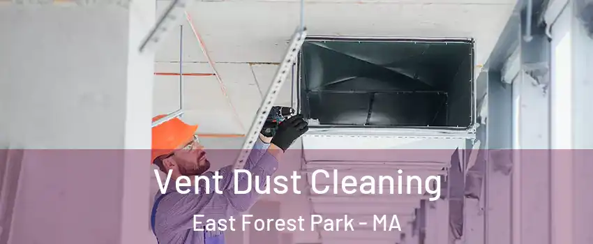 Vent Dust Cleaning East Forest Park - MA