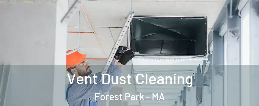 Vent Dust Cleaning Forest Park - MA