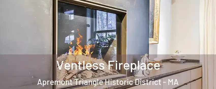 Ventless Fireplace Apremont Triangle Historic District - MA
