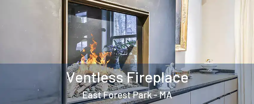Ventless Fireplace East Forest Park - MA