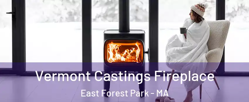 Vermont Castings Fireplace East Forest Park - MA