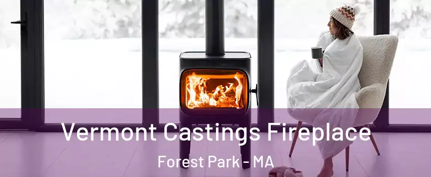 Vermont Castings Fireplace Forest Park - MA