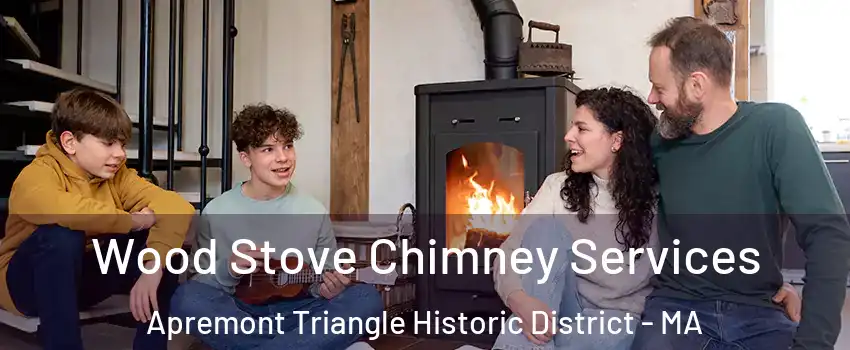 Wood Stove Chimney Services Apremont Triangle Historic District - MA