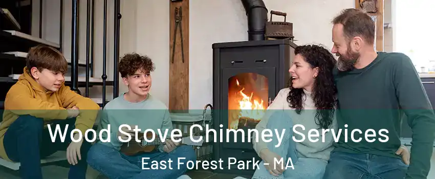 Wood Stove Chimney Services East Forest Park - MA