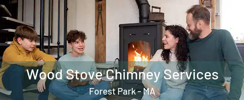 Wood Stove Chimney Services Forest Park - MA