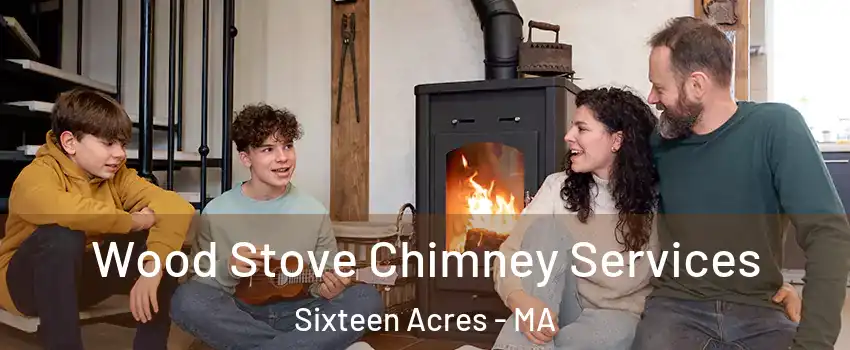 Wood Stove Chimney Services Sixteen Acres - MA
