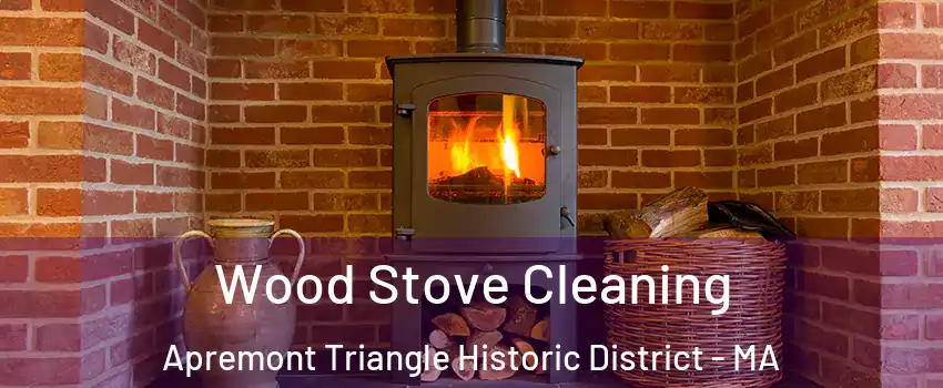 Wood Stove Cleaning Apremont Triangle Historic District - MA