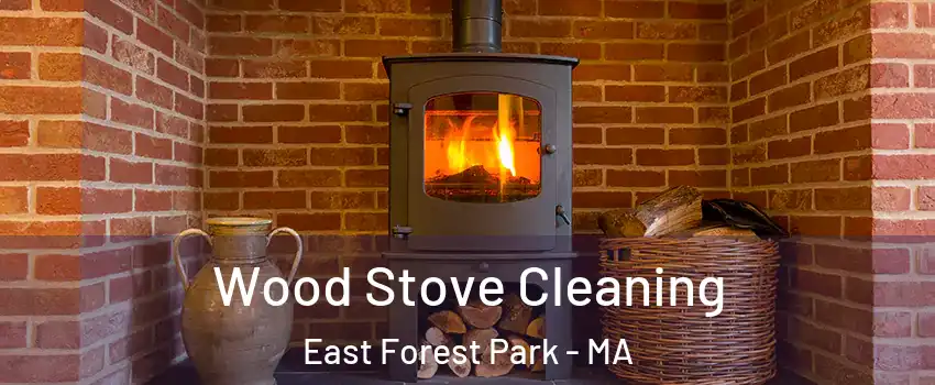 Wood Stove Cleaning East Forest Park - MA