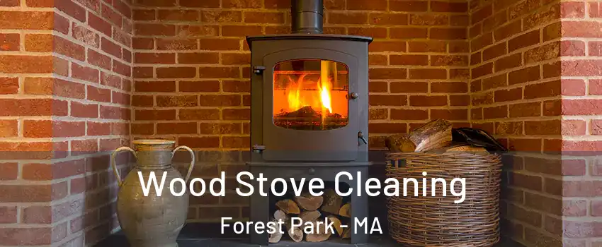 Wood Stove Cleaning Forest Park - MA