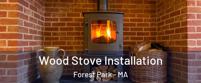 Wood Stove Installation Forest Park - MA