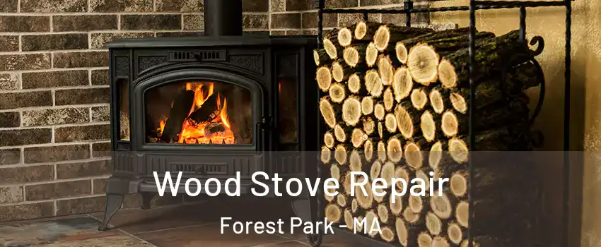 Wood Stove Repair Forest Park - MA